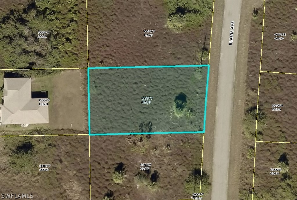 1258 Blaine Ave, Fort Myers, FL 33913 - photo 1