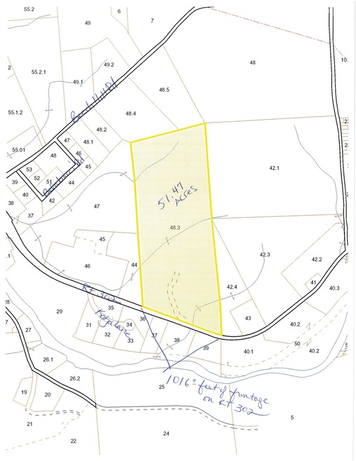 419-48-3 Main St, Bethlehem, NH 03574 - photo 1