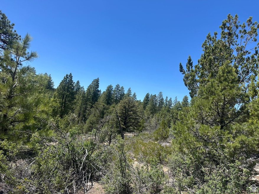 View of wooded area