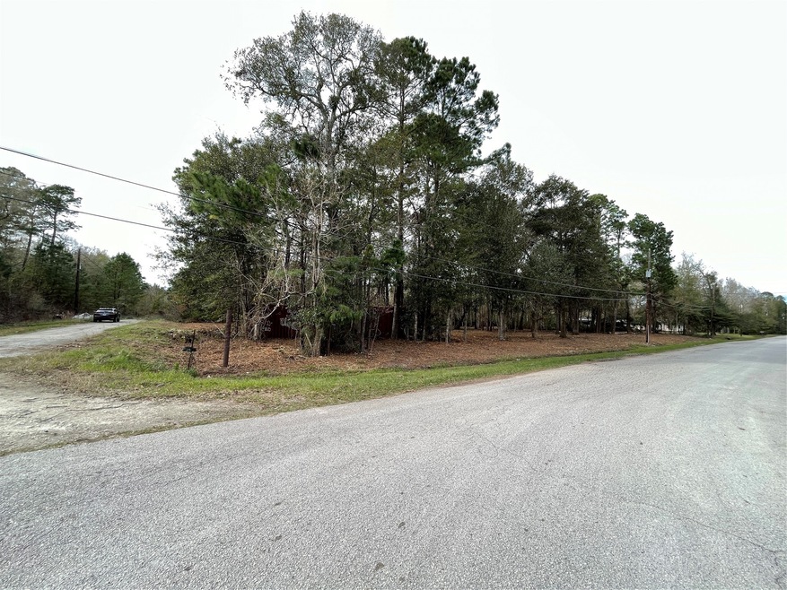 00 County Road 4021, Dayton, TX 77535 - photo 1