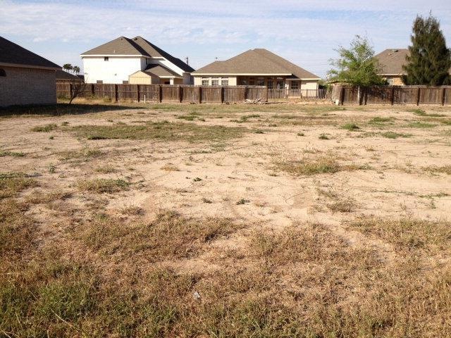 518 Elena Ln, Alamo, TX 78516 - photo 1