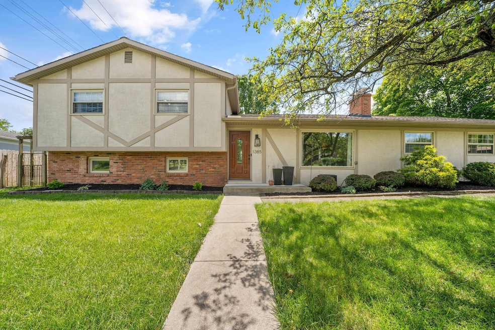 5-web-or-mls-DSC00649