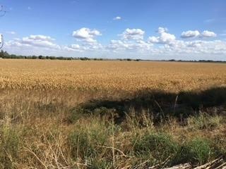 unlisted-address, Acampo, CA 95220 - photo 1