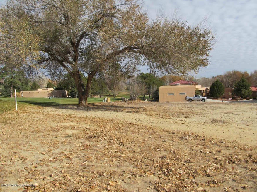 X Pinehurst Dr, Farmington, NM 87402 - photo 1