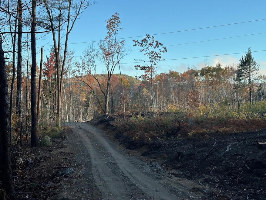 00 Thurley Rd unit 29-5, Ossipee, NH 03814 - photo 1