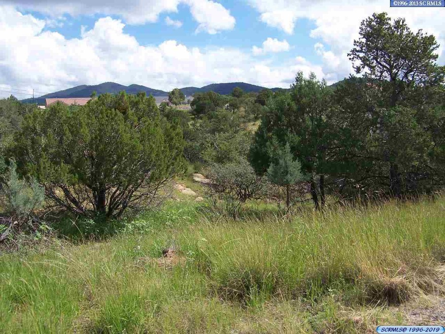 0000 Briarwood Ln, Silver City, NM 88061 - photo 1