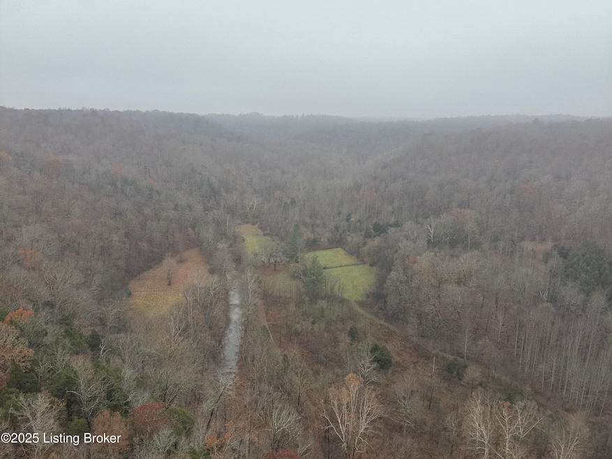 3095 Herbert Howell Rd, Hodgenville, KY 42748 - photo 1