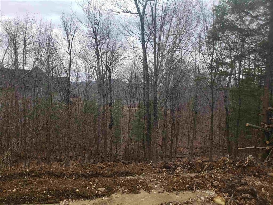 L21 Ski Lift Ln, Plymouth, NH 03264 - photo 1