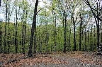 0 Church Ave unit 387324, Germantown, NY 12526 - photo 1