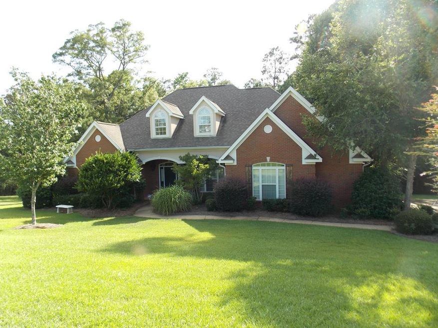 Main View