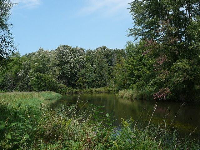 Primary Photo