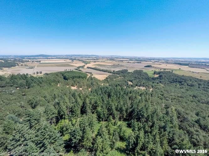 0 SW Vineyard Ln unit 692843, McMinnville, OR 97128 - photo 1