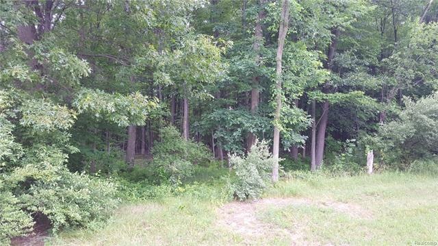 20170629_165248.jpg
