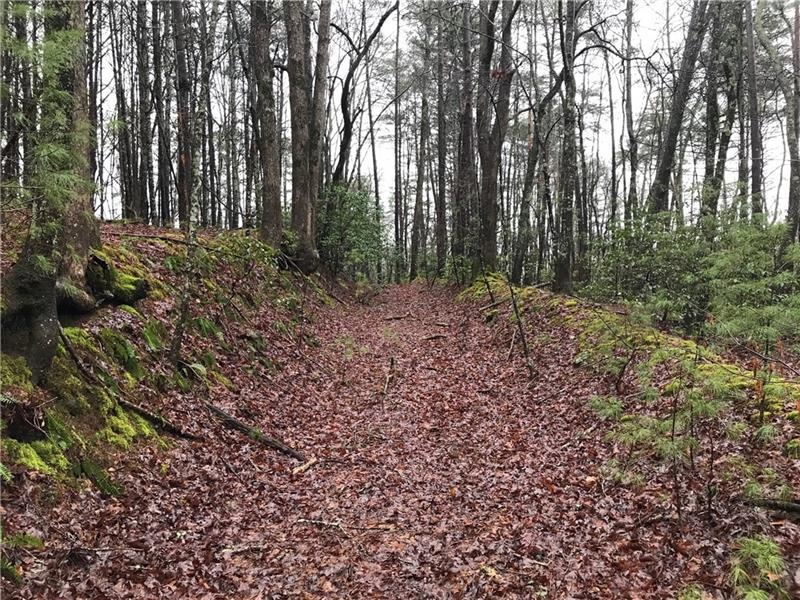 2 & 3 Turniptown Rd, Ellijay, GA 30536 - photo 1