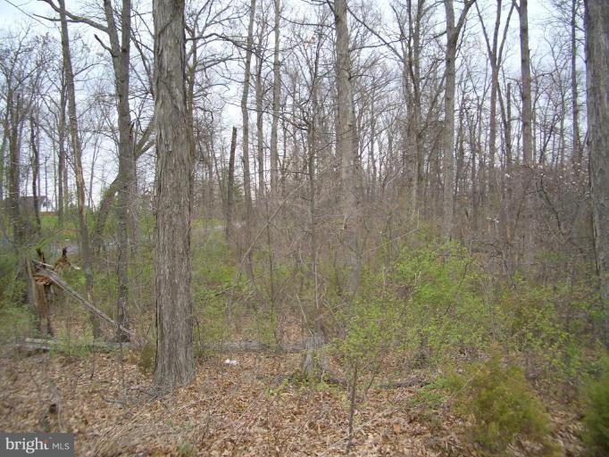 0 Lower View Rd unit 1000402989, Strasburg, VA 22657 - photo 1