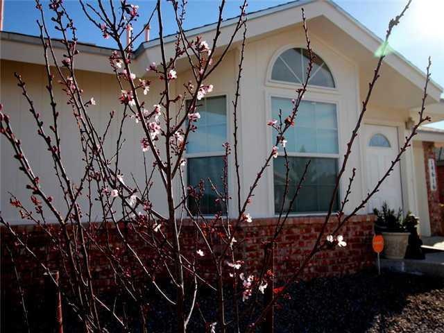 14616 Canario Dr, Horizon City, TX 79928 - photo 1