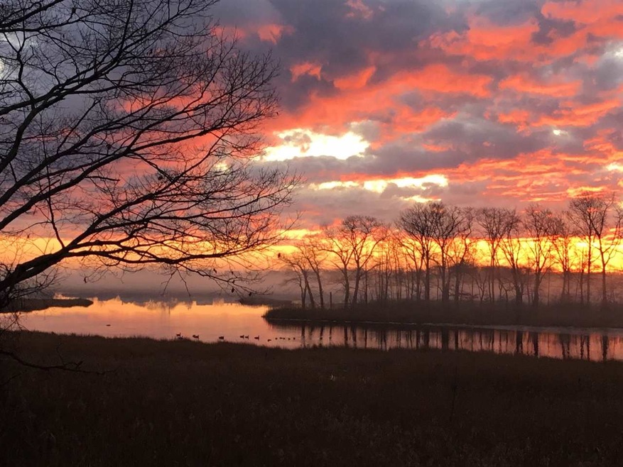 109 Dunvegan Woods, Hampton, NH 03842 - photo 1