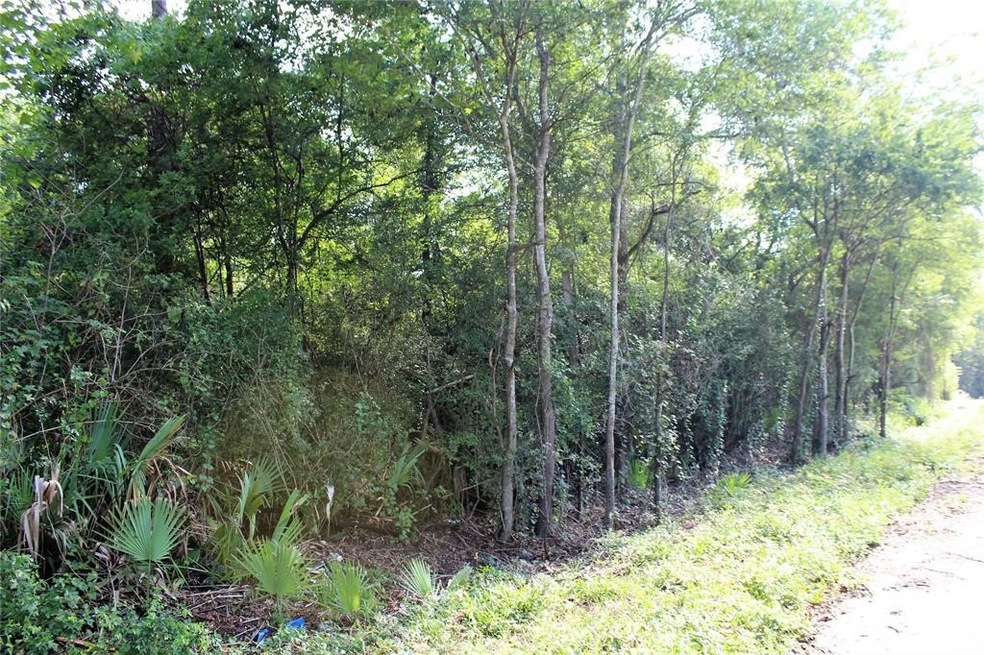 00 River Dr, Conroe, TX 77385 - photo 1