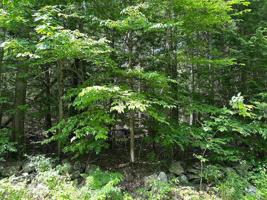 4 Acre Parcel