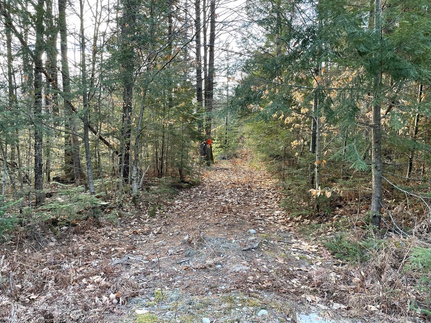 Loon Rd