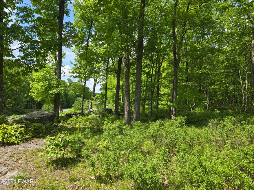 0 Blue Heron Way unit PWBPW241477, Pike County, PA 18428 - photo 1