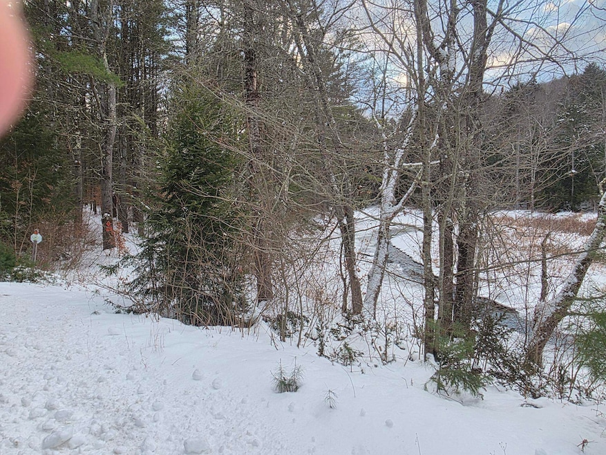 0 New Hampshire 10 unit 7, Gilsum, NH 03448 - photo 1