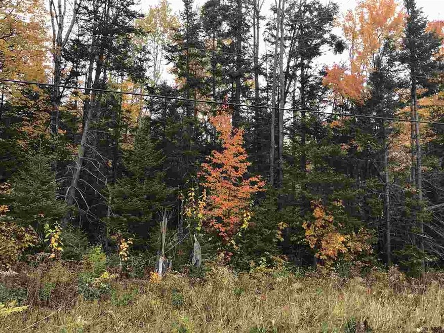 0 Fish Pond Rd unit Lot 19 4781163, Colebrook, NH 03576 - photo 1