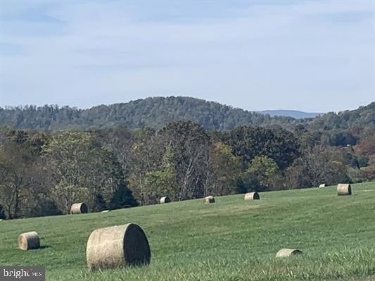 LOT 39 Blandemar Dr, Samuel Miller, VA 22903 - photo 1