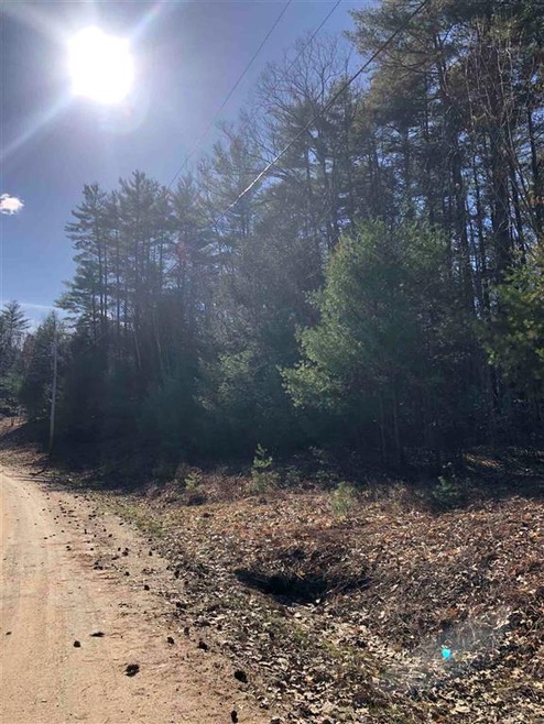 0 Call Rd unit 4857458, Webster, NH 03303 - photo 1