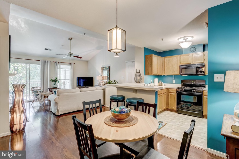 5034 Stone Shop Cir, Owings Mills, MD 21117 - photo 1