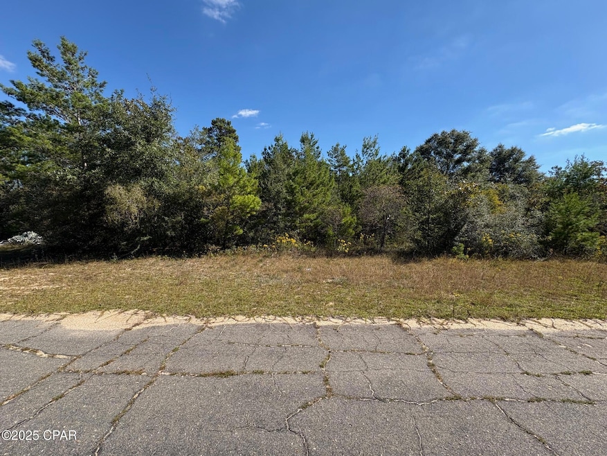 LOT 15 Waterfall Ct, Chipley, FL 32428 - photo 1