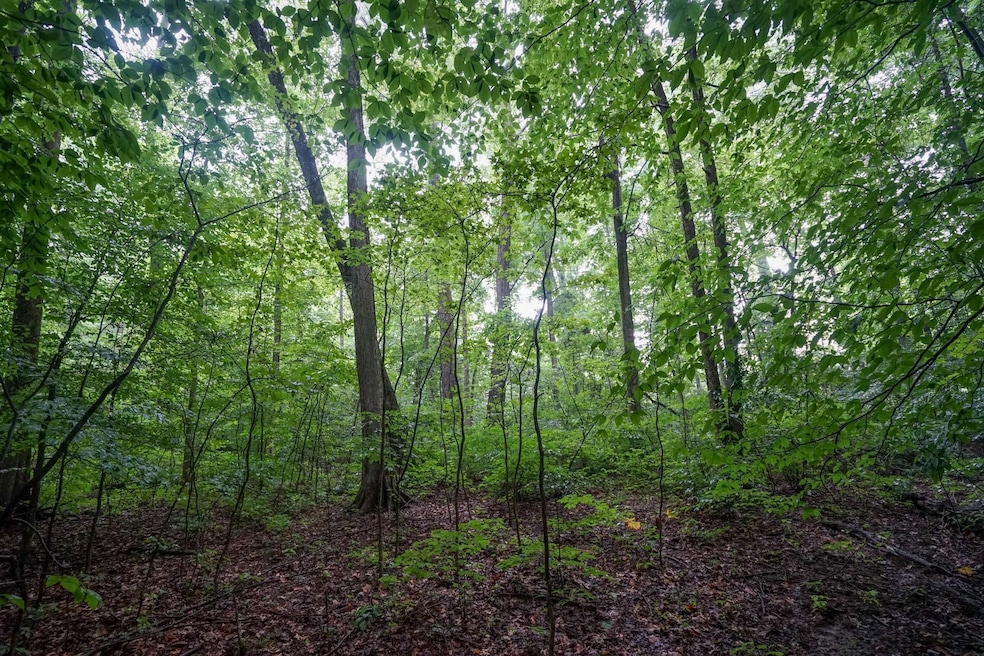 0 Duncanson Rd unit 24555971, Whiteoak Township, OH 45171 - photo 1