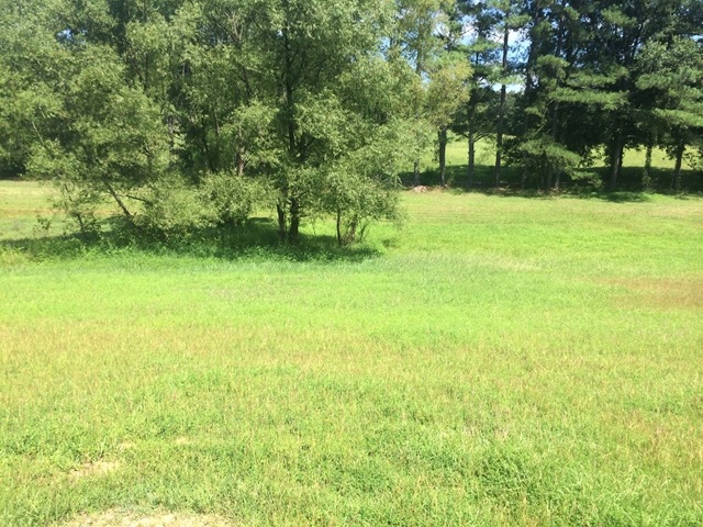 355 Mississippi 6, Oxford, MS 38655 - photo 1