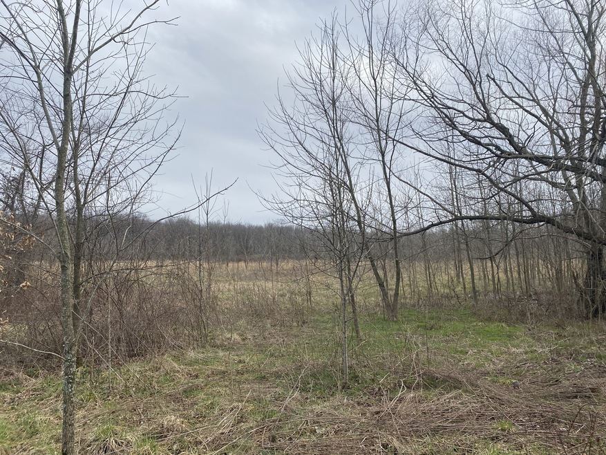 0 Unionville Deason Rd unit RTC2366203, Bell Buckle, TN 37020 - photo 1