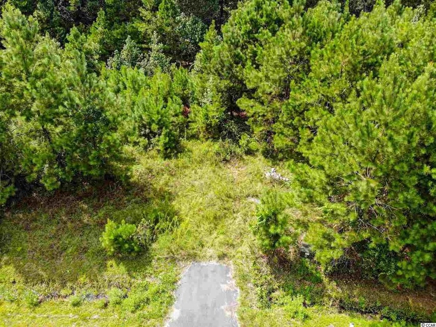 lot 65 Tidway Cir, Conway, SC 29527 - photo 1