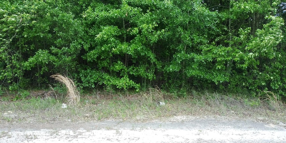 0 Eldorado Rd, Cross, SC 29436 - photo 1