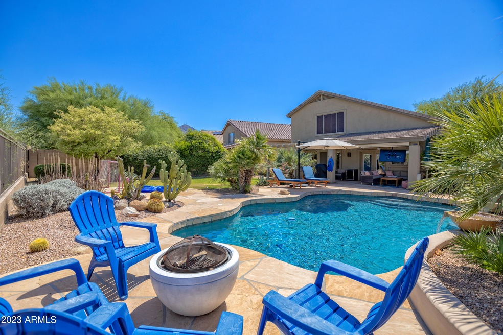 Amazing backyard