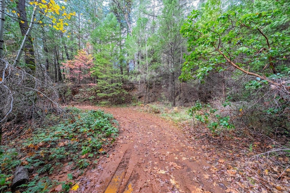 0 Kentucky Flat Rd unit 225140786, Georgetown, CA 95634 - photo 1