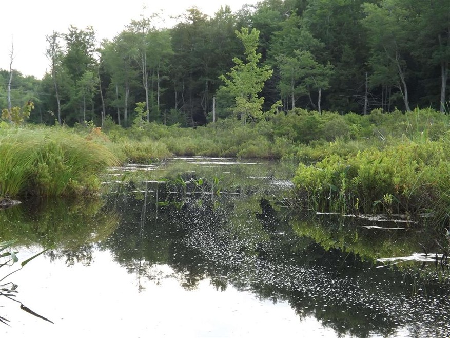 00 E S Quaker St, Henniker, NH 03242 - photo 1