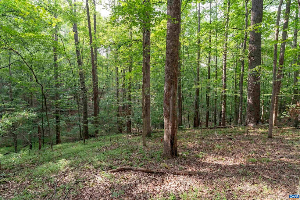 TBD Decca Ln, Charlottesville, VA 22901 - photo 1