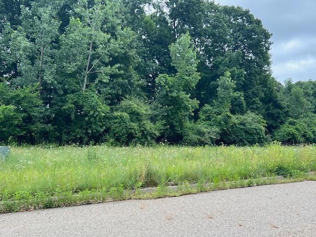 0000 Oak Ridge Hills unit 7, Marshall Township, MI 49068 - photo 1