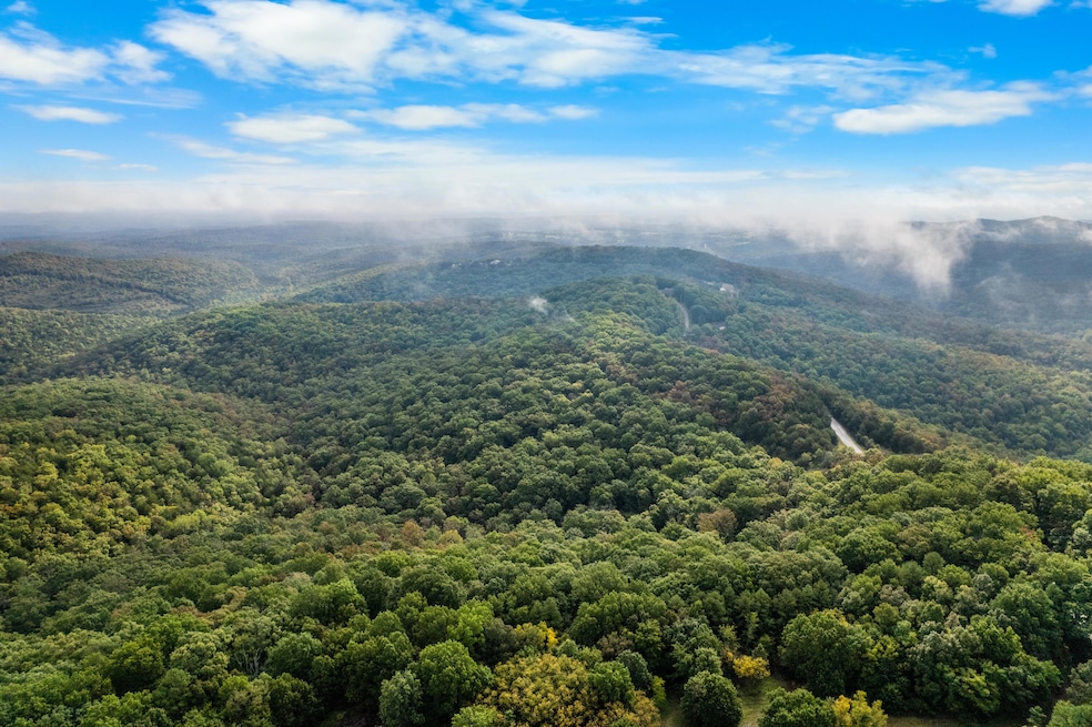 000 Pine Top Rd, Hollister, MO 65672 - photo 1