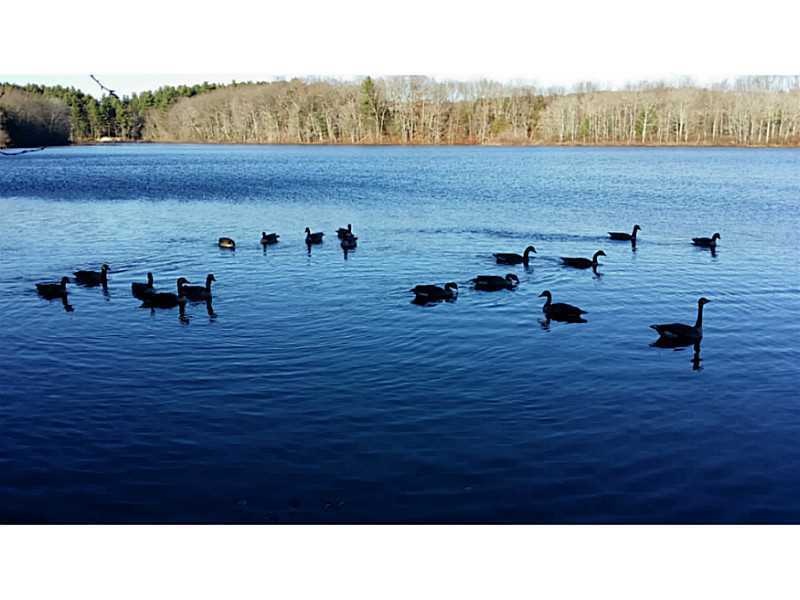 217 Log Rd, Smithfield, RI 02917 - photo 1