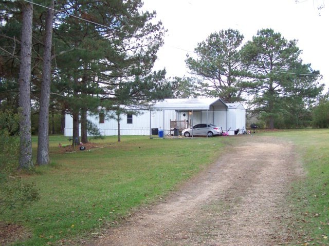 Main View