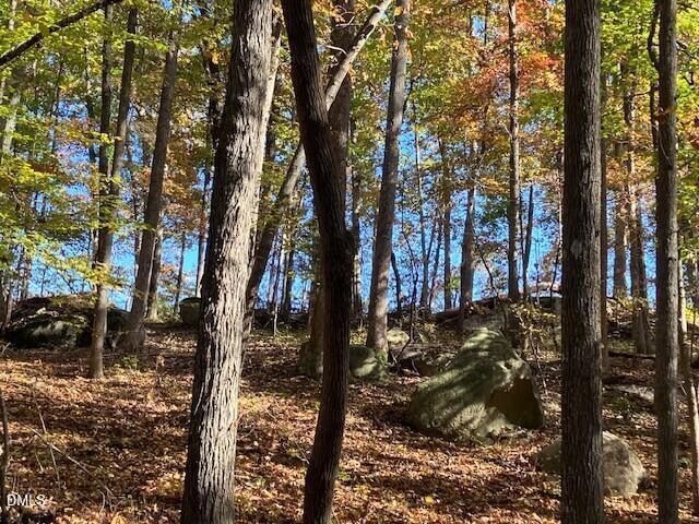 9 Buttonwood Ln, Roxboro, NC 27574 - photo 1