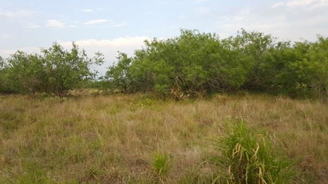 unlisted-address, Edinburg, TX 78539 - photo 1