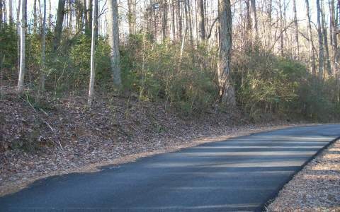 15&16 Timberwalk Dr, Ellijay, GA 30540 - photo 1