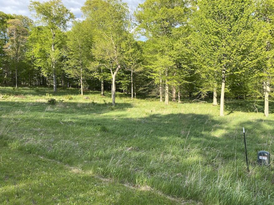 lot 1
