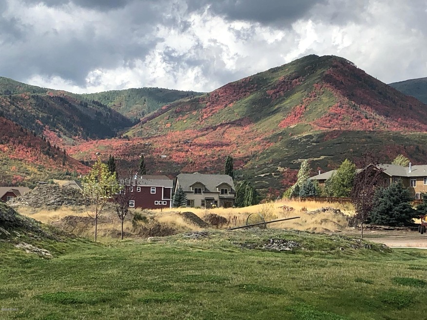fall colors