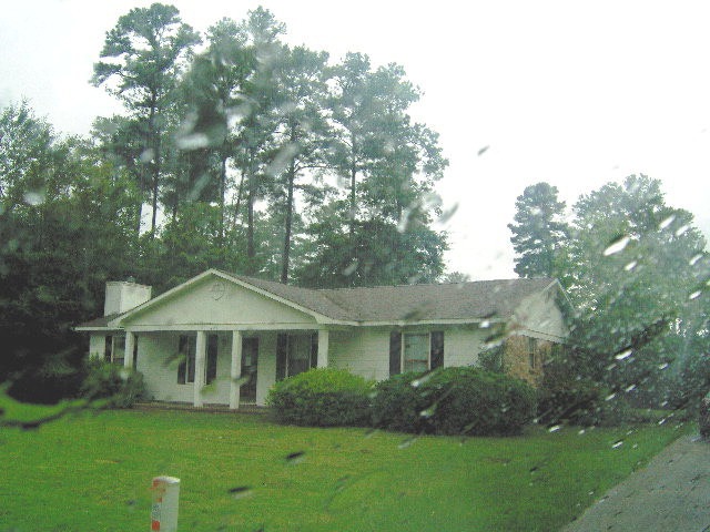 Main View